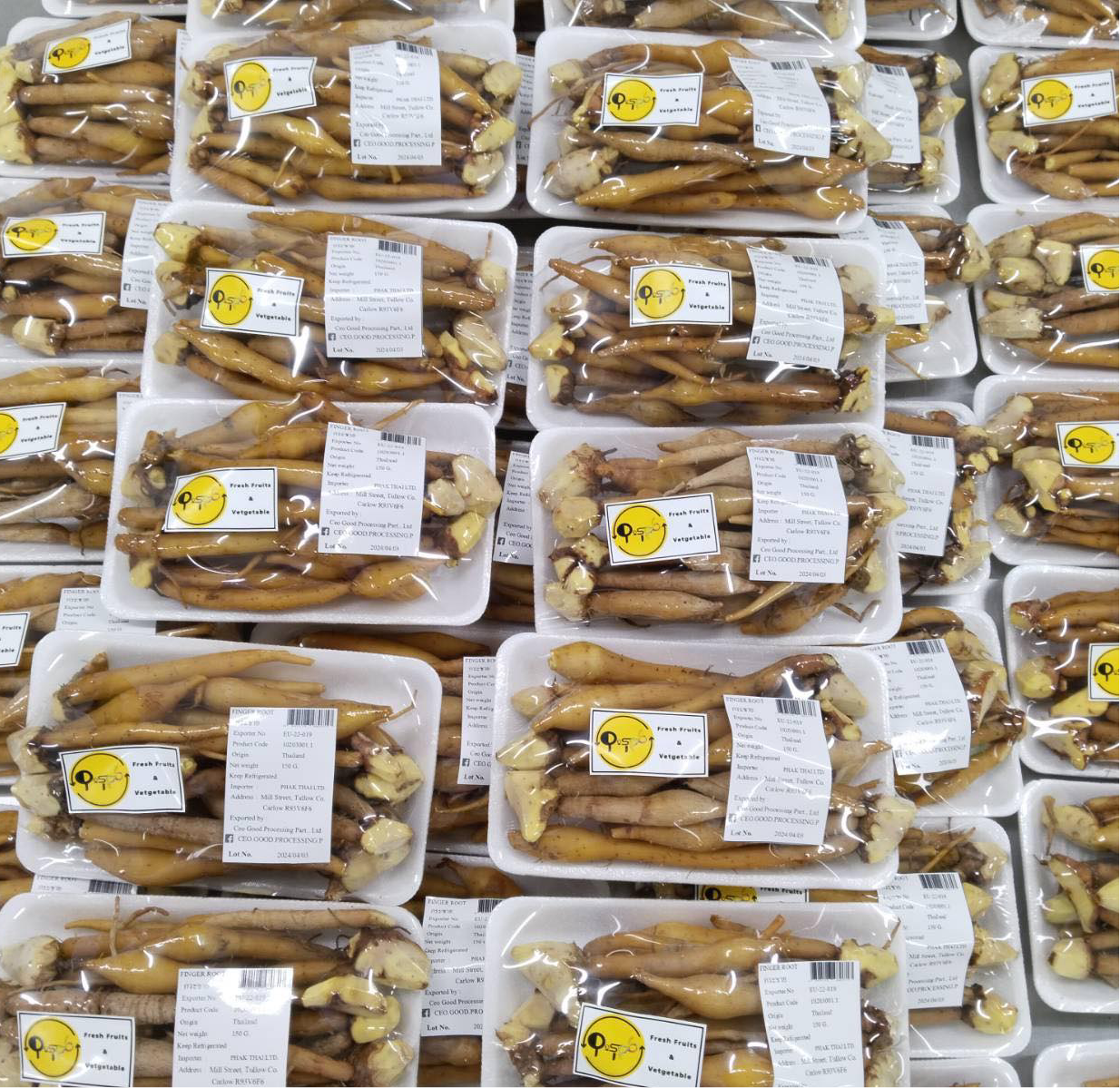 กระชาย 130 กรัม / Finger root 130 g