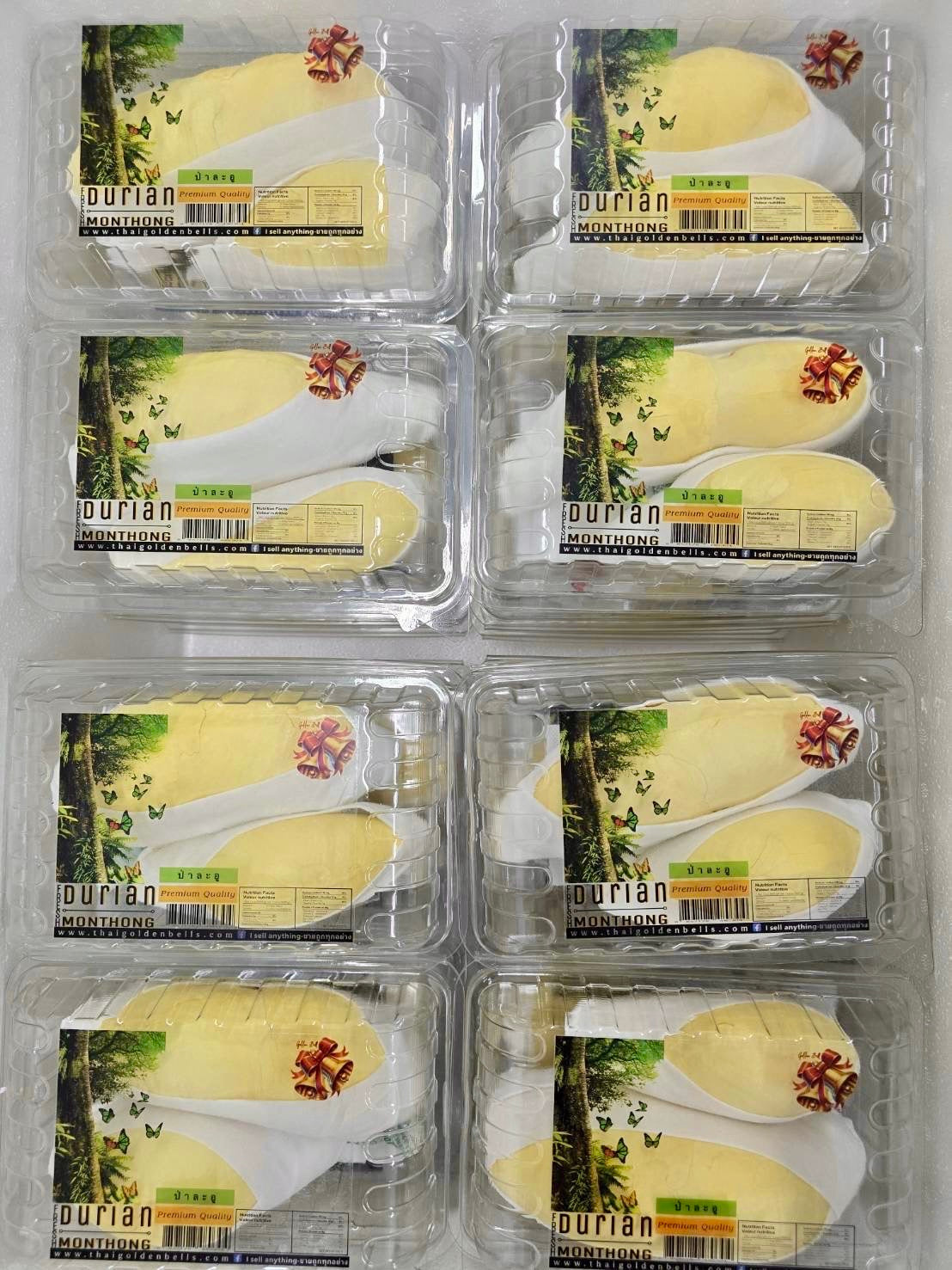 ทุเรียนหมอนทองป่าละอู GW 550 กรัม Pa La Uu Mon thong Durian GW 550 g