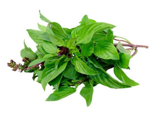 โหระพา 100 กรัม / Sweet Basil 100 g