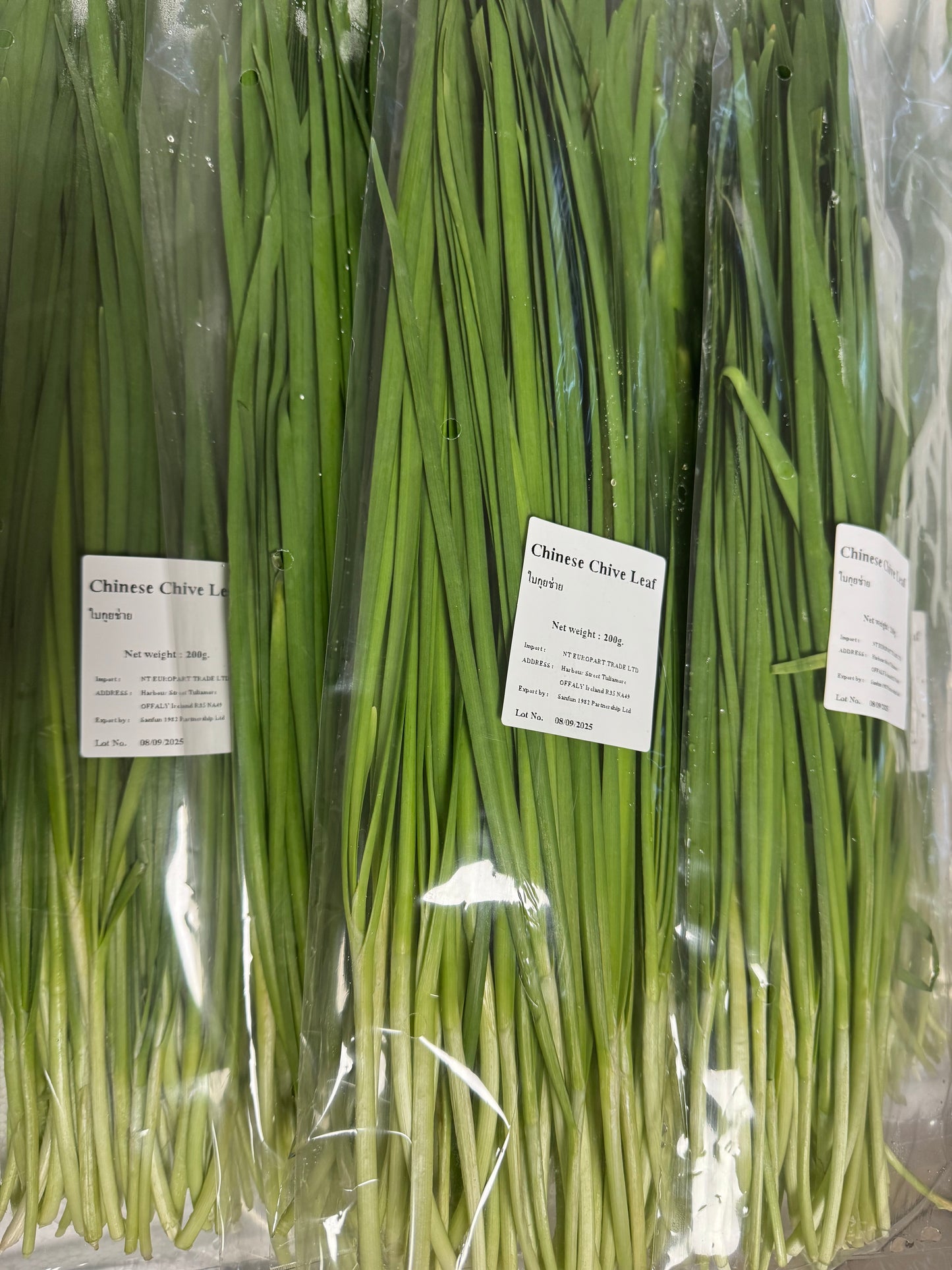 กุยช่าย 200 กรัม / Chinese Chive Leaves 200 g