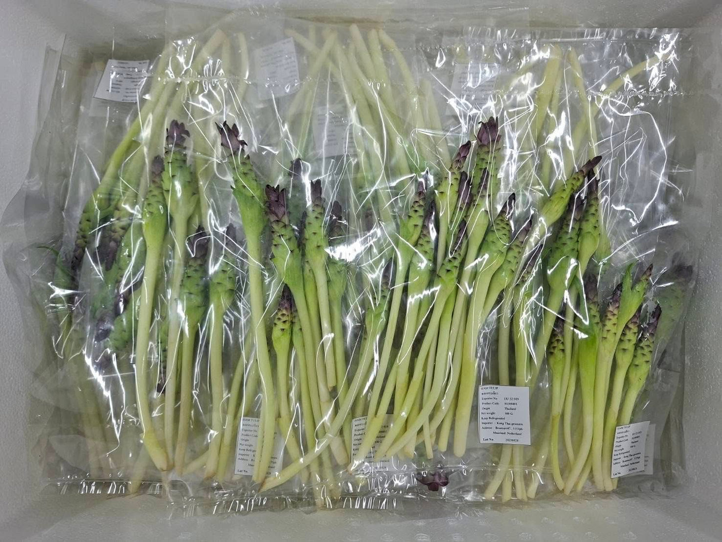 ดอกกระเจียว 200 กรัม / Siam Tulip flower 200g
