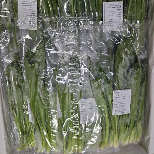 ผักชีฝรั่ง 100 กรัม / Parsley 100g