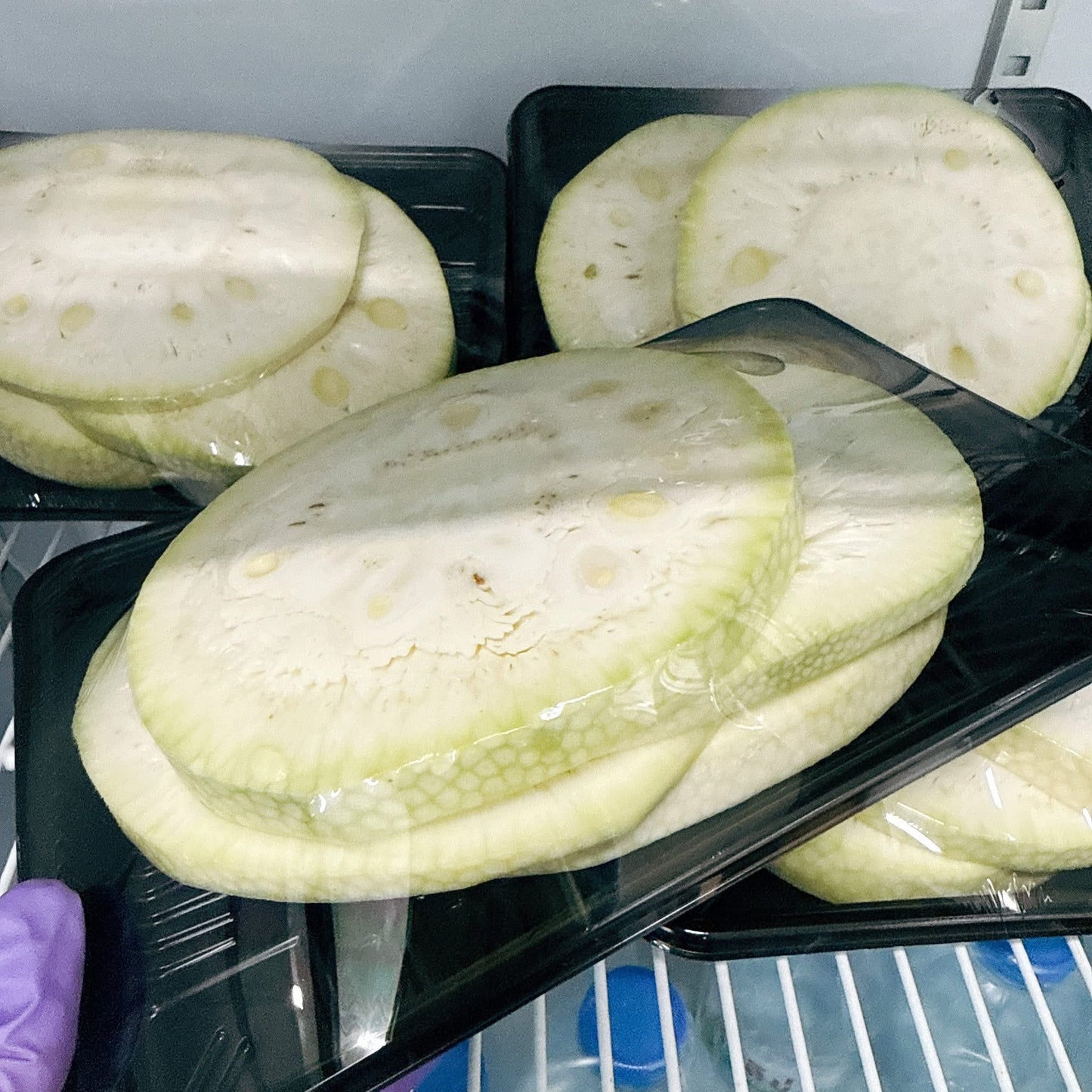 ขนุนอ่อน 500 กรัม / Young/Unripped Jackfruit 500 g