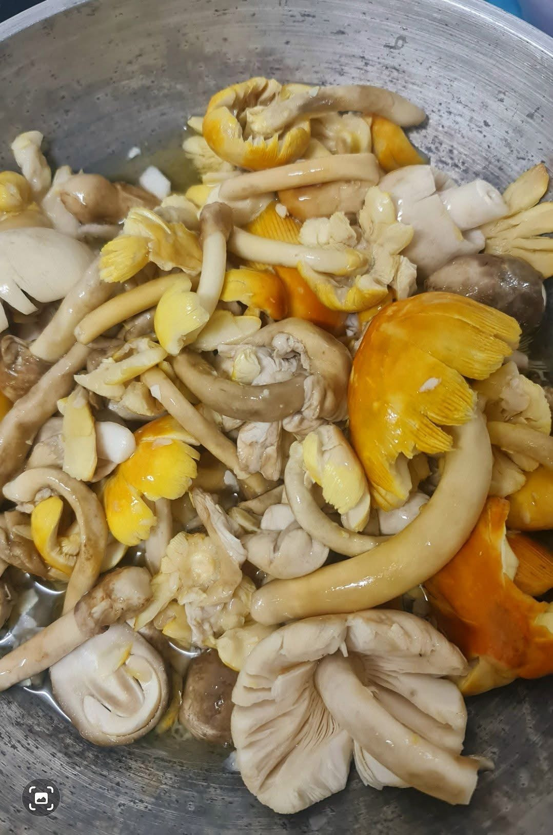 เห็ดระโงก/เห็ดไข่ห่าน 500 ก Caesar's Mushroom 500 g