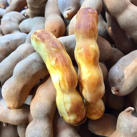 มะขามหวานขาหมู 500 กรัม / Sweet tamarind with pig-leg–shaped pods 500g