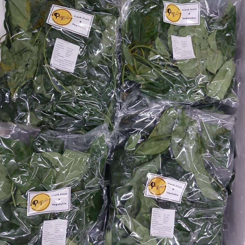 ใบย่านาง 100 ก Yanang leaf 100 g