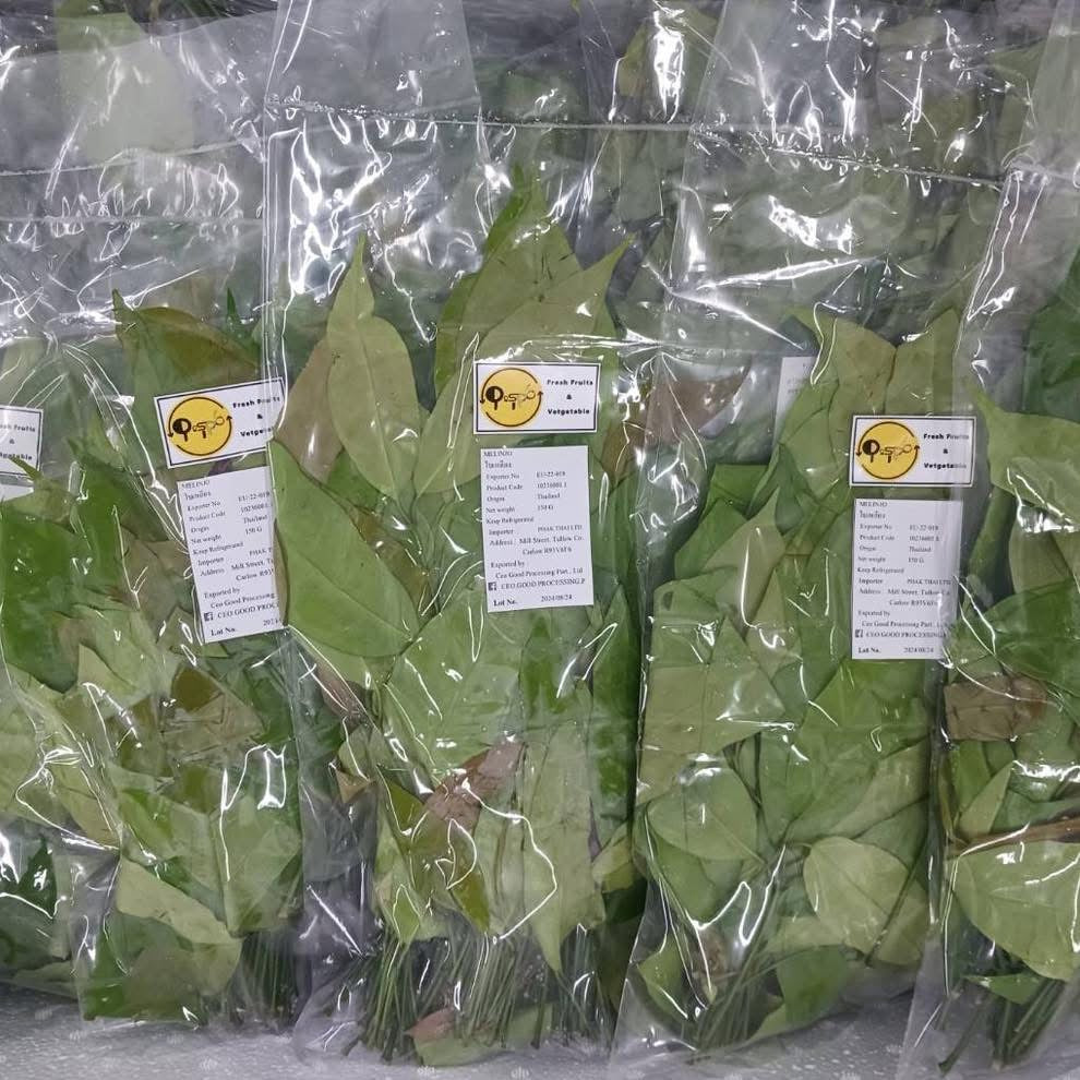 ใบเหลียง 150 ก Malindjo Leaves 150 g