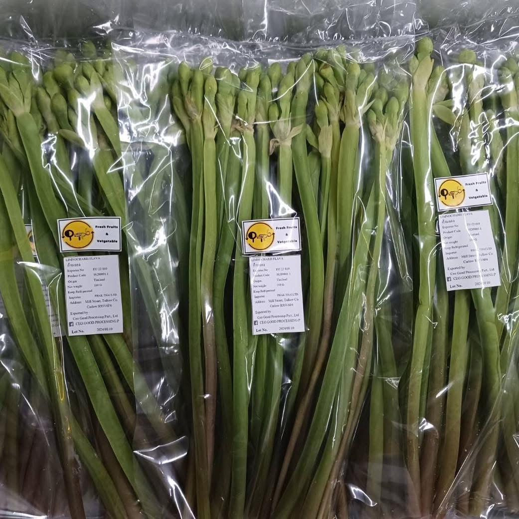 ผักก้านจอง 180 กรัม / Yellow Velvet Leaves (Kan jong) 180g