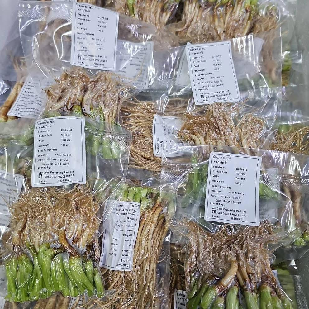 รากผักชี 100 กรัม coriander root 100g