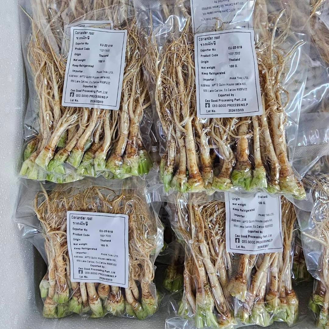 รากผักชี 100 กรัม coriander root 100g