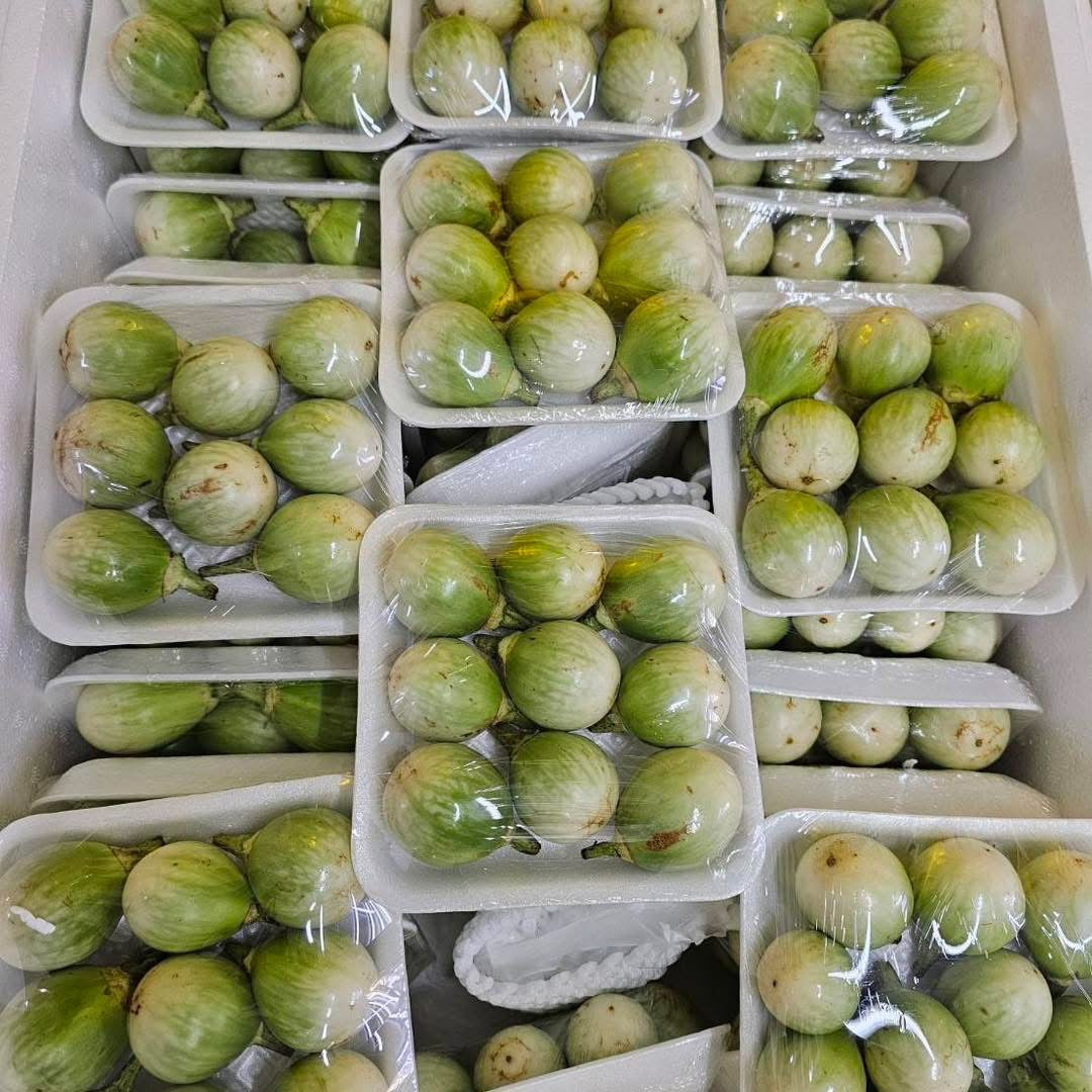 มะเขือเปราะไทย 250 กรัม Thai Eggplants 250g
