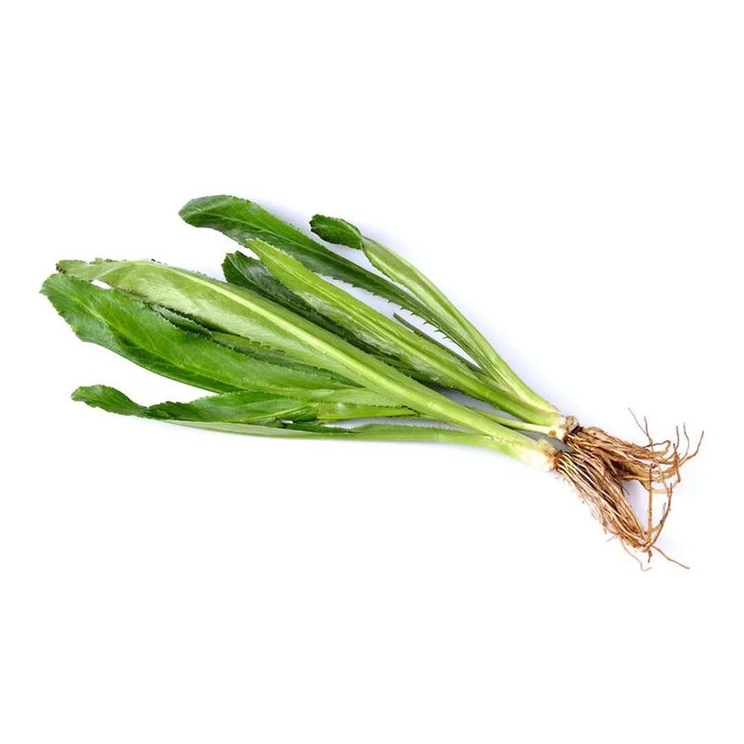 Promotion!
Morning Glory 2 packs+Boiled Cassia Leaves 1 pack+Yanang Leaves 1 pack+Coriander Roots 1pack+Fresh Galangal1 pack+Fingerroot 2 packs+Lemongrass 1 packs+Culantro 1 pack+Thai Sweet Basil 1 pack+Fresh Red Chili 500 g #lot23/2/26