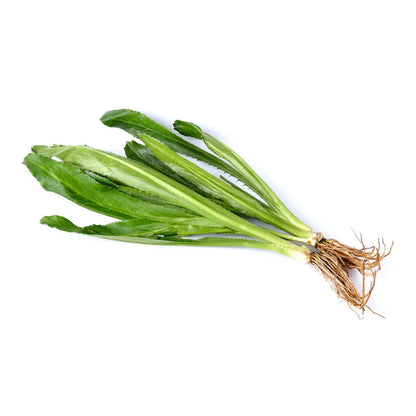 Promotion!
Morning Glory 2 packs+Boiled Cassia Leaves 1 pack+Yanang Leaves 1 pack+Coriander Roots 1pack+Fresh Galangal1 pack+Fingerroot 2 packs+Lemongrass 1 packs+Culantro 1 pack+Thai Sweet Basil 1 pack+Fresh Red Chili 500 g #lot23/2/26