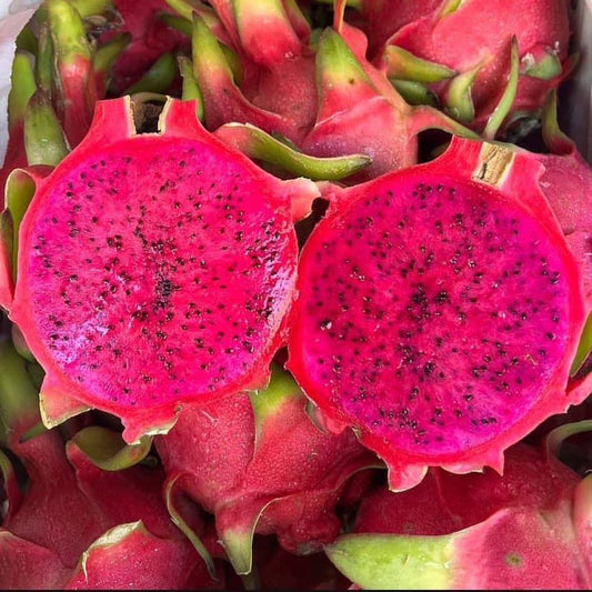 แก้วมังกรแดง Red Dragon Fruit