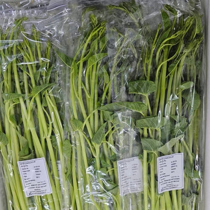 ผักบุ้งแก้ว 200 กรัม / Thai Morning Glory 200 g