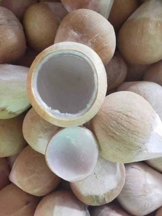 มะพร้าวเผา Roasted Coconut
