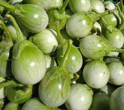 มะเขือเปราะไทย 500กรัม / Thai Eggplants 500g