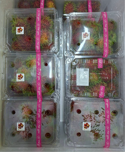 เงาะโรงเรียน 500 กรัม Rongrien Rambutan 500 g