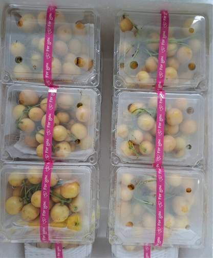มะไฟหวาน 500 ก Burmese Grape 500 g