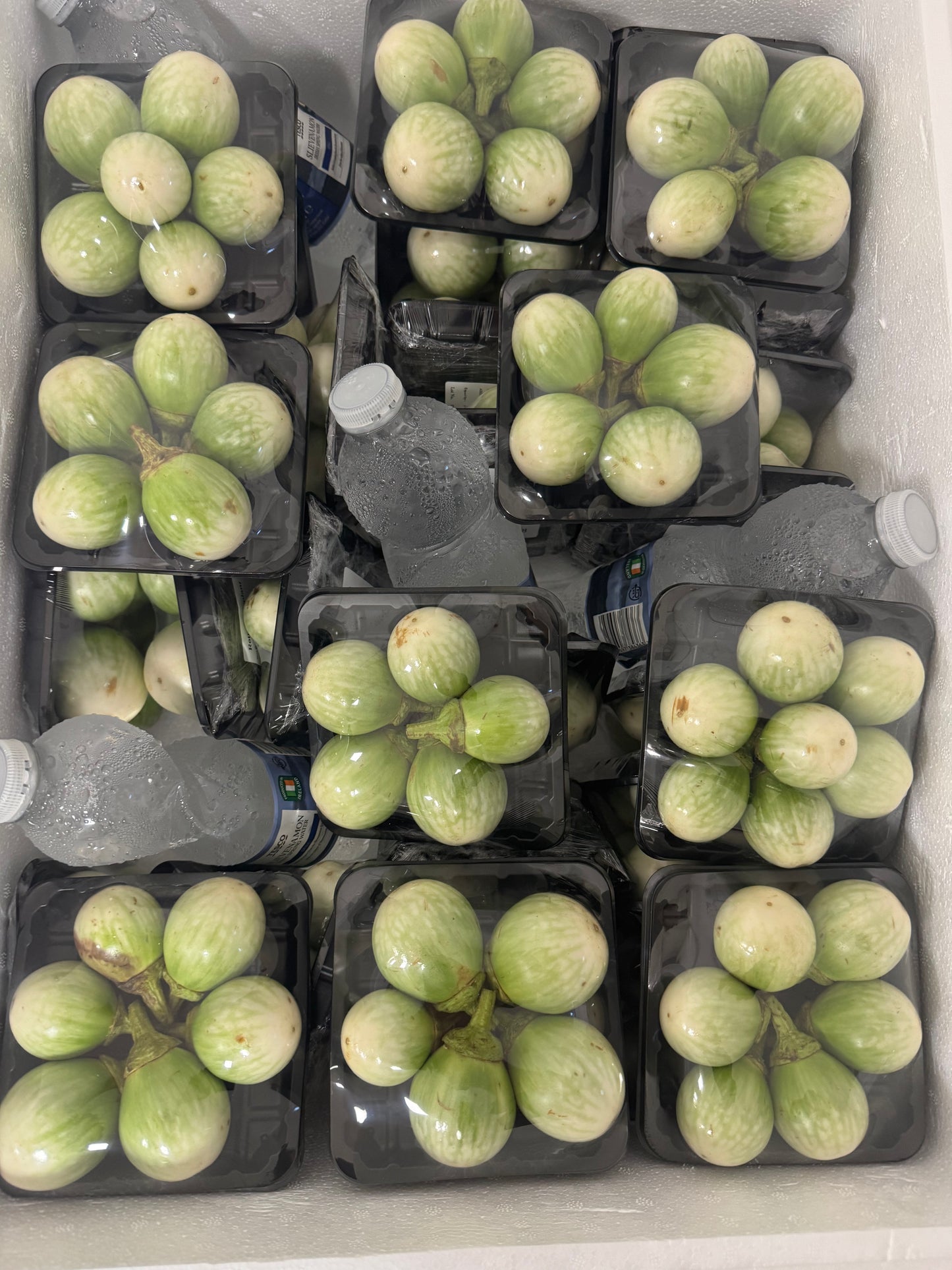 มะเขือเปราะไทย 200กรัม  Thai Eggplants 200g
