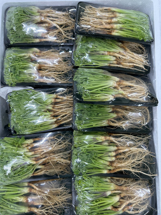 รากผักชี 100 กรัม / coriander root 100g