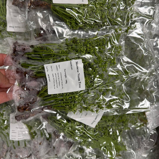 ดอกสะเดามัน 100 กรัม / Neem Flower 100 g