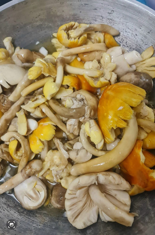 เห็ดระโงก/เห็ดไข่ห่าน 500 ก Caesar's Mushroom 500 g
