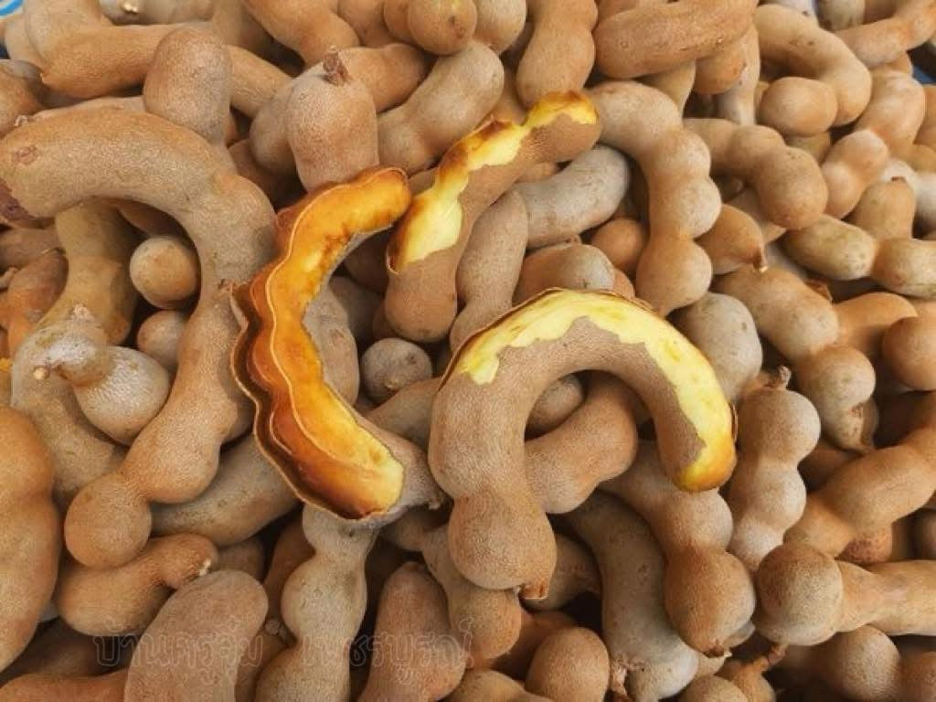 มะขามหวานขาหมู 500 กรัม / Sweet tamarind with pig-leg–shaped pods 500g