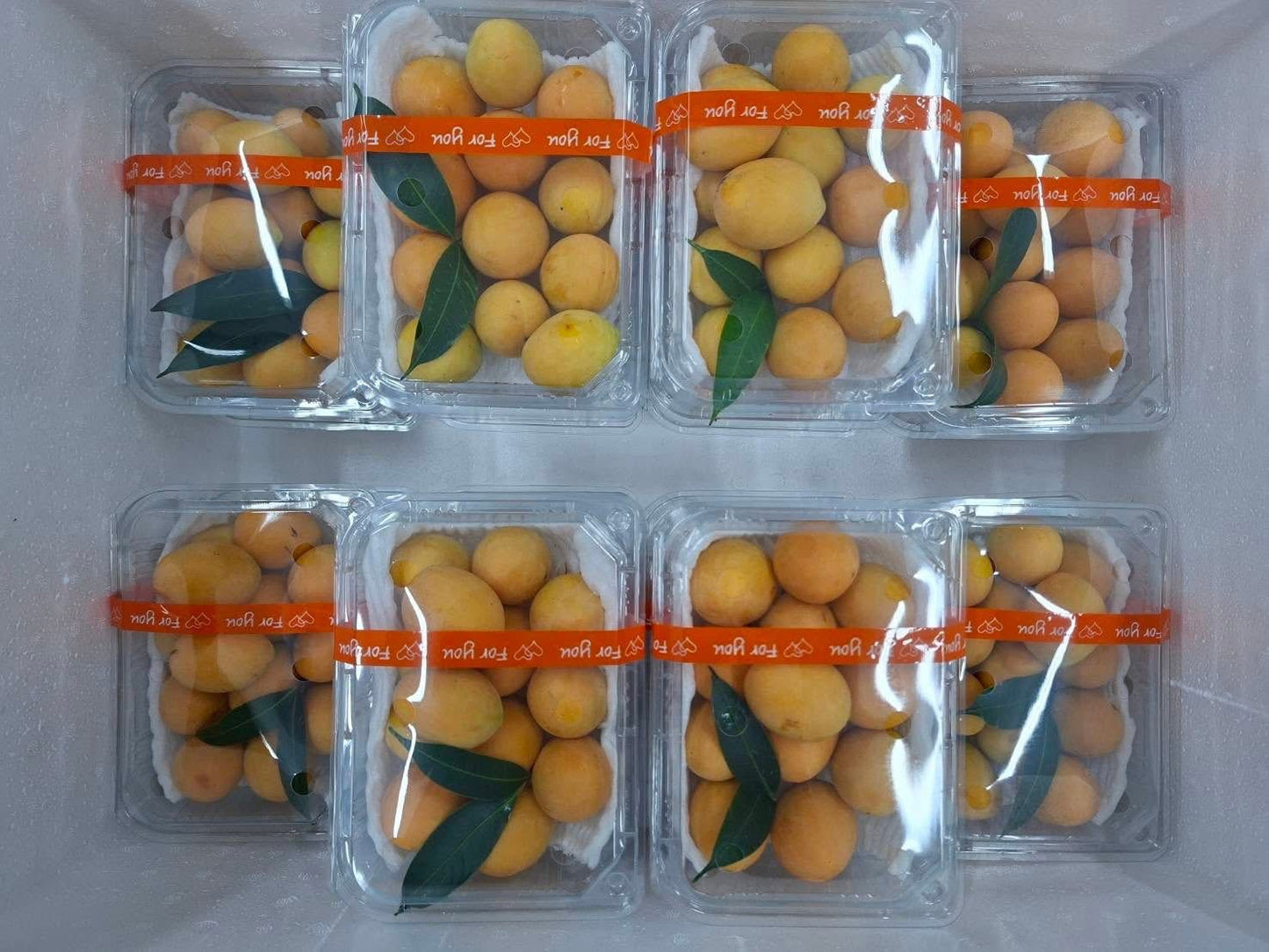 มะยงชิด 500 กรัม / Marian plum 500 g