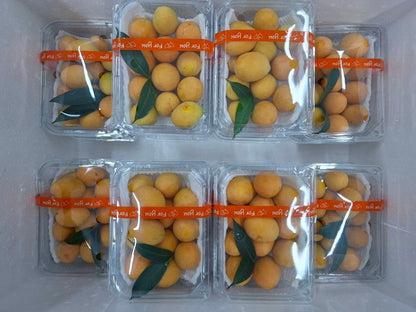 มะยงชิด 500 กรัม / Marian plum 500 g