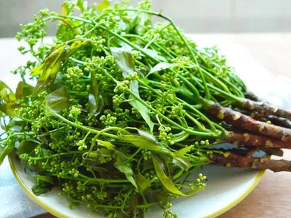 ดอกสะเดามัน 100 กรัม / Neem Flower 100 g