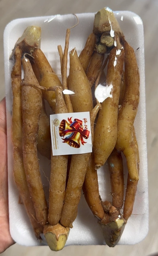 กระชาย Finger root