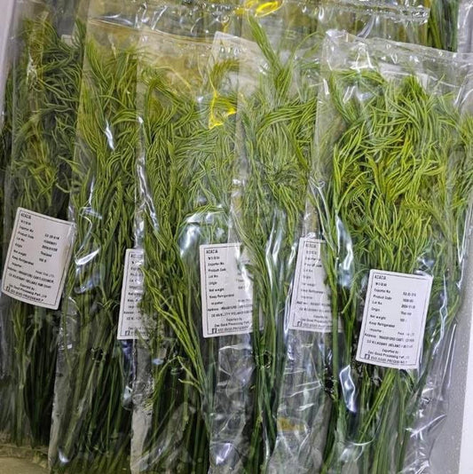 ชะอม 100 กรัม Climbing wattle 100 g