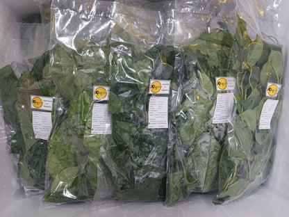 ใบย่านาง 100 ก Yanang leaf 100 g