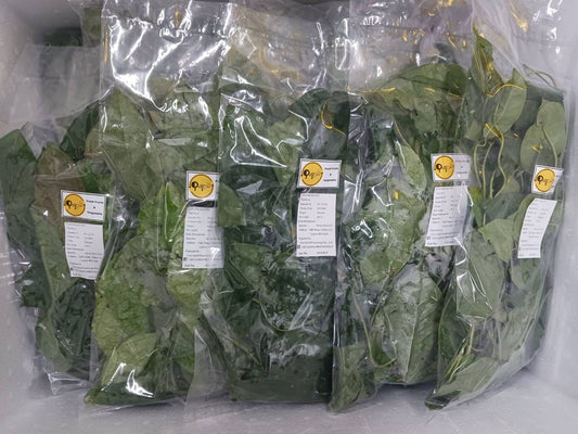 ใบย่านาง 100 ก Yanang leaf 100 g