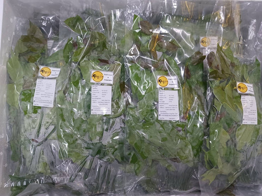 ใบเหลียง 150 ก Malindjo Leaves 150 g
