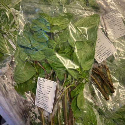 โหระพา 100 กรัม / Sweet Basil 100 g