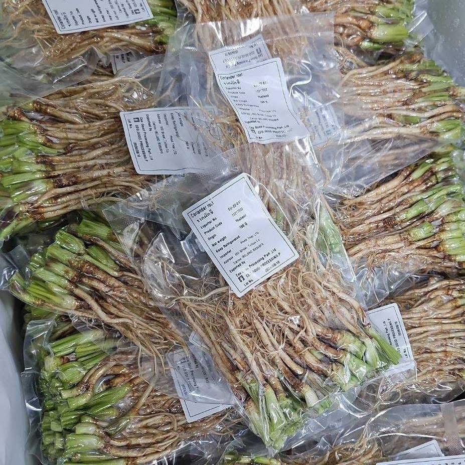 รากผักชี 100 กรัม coriander root 100g