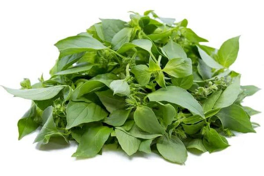 Thai Basil 180 g / แมงลัก 180 กรัม